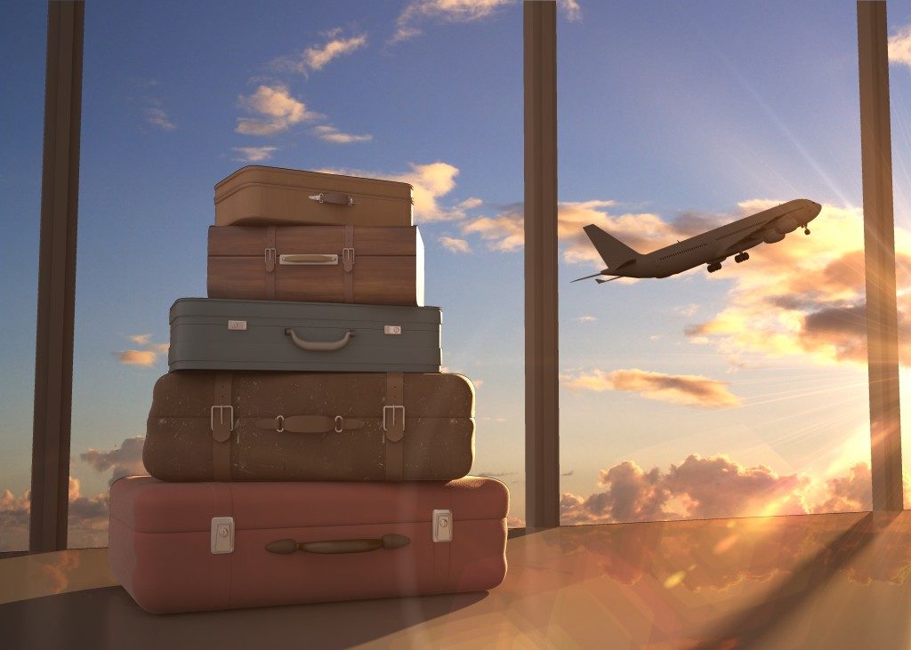 travel bags and airplane in sky