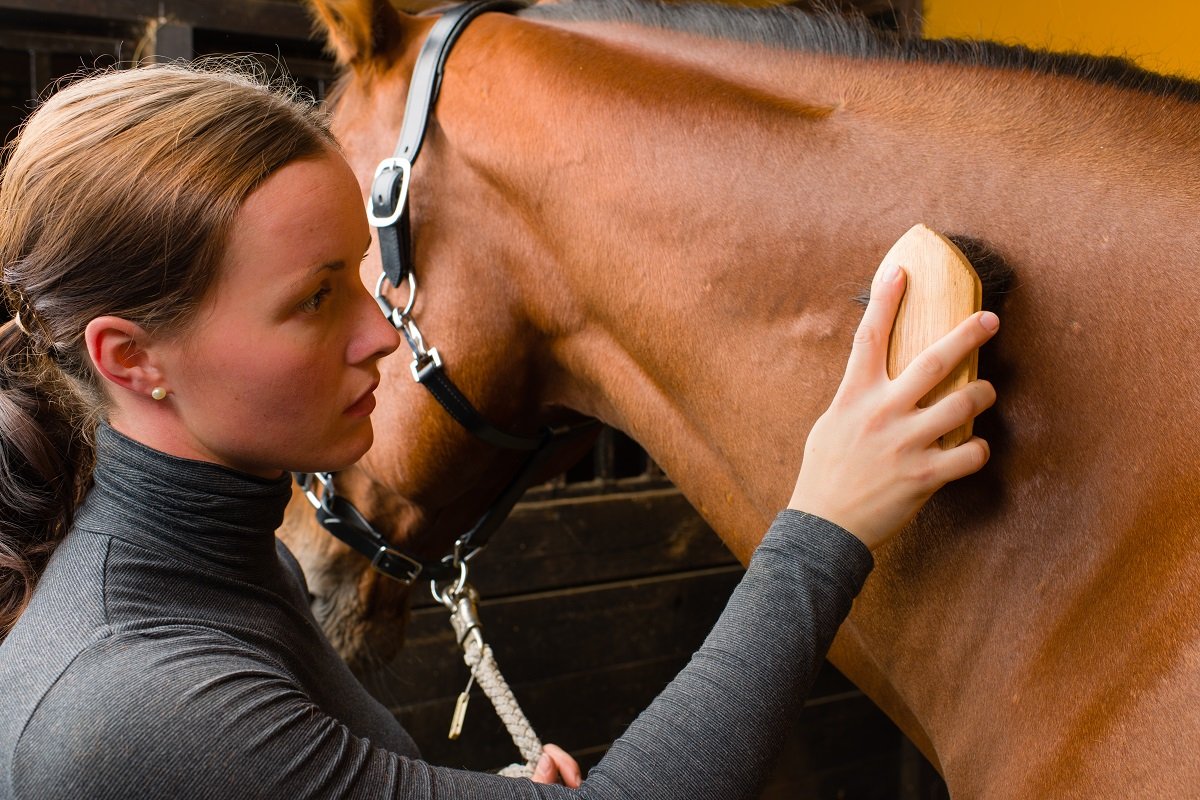 woman brushing her horse