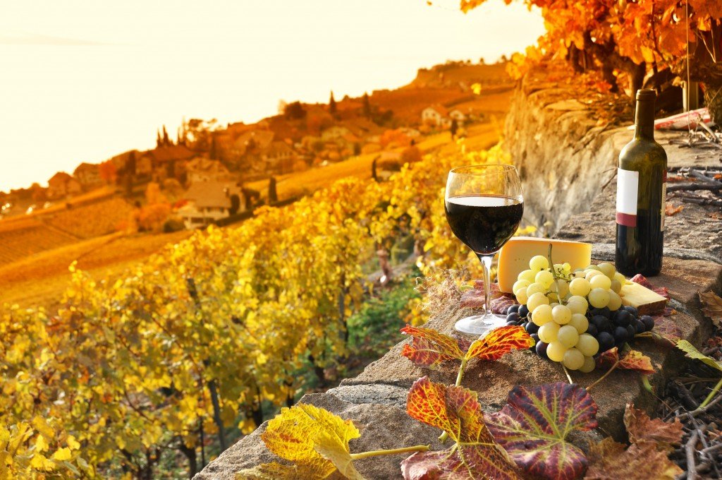 bottle of red wine