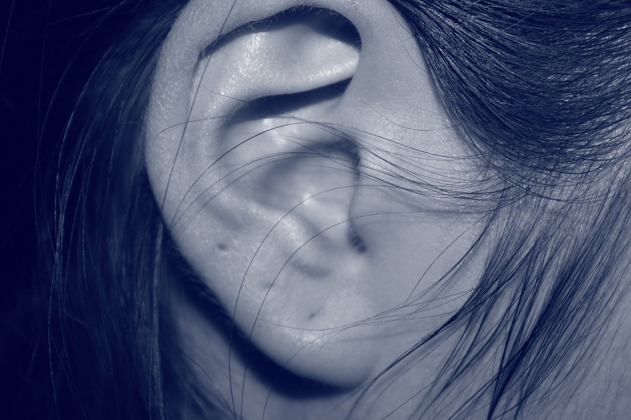 ears with 3 piercings