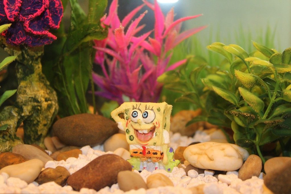 spongebob squarepants