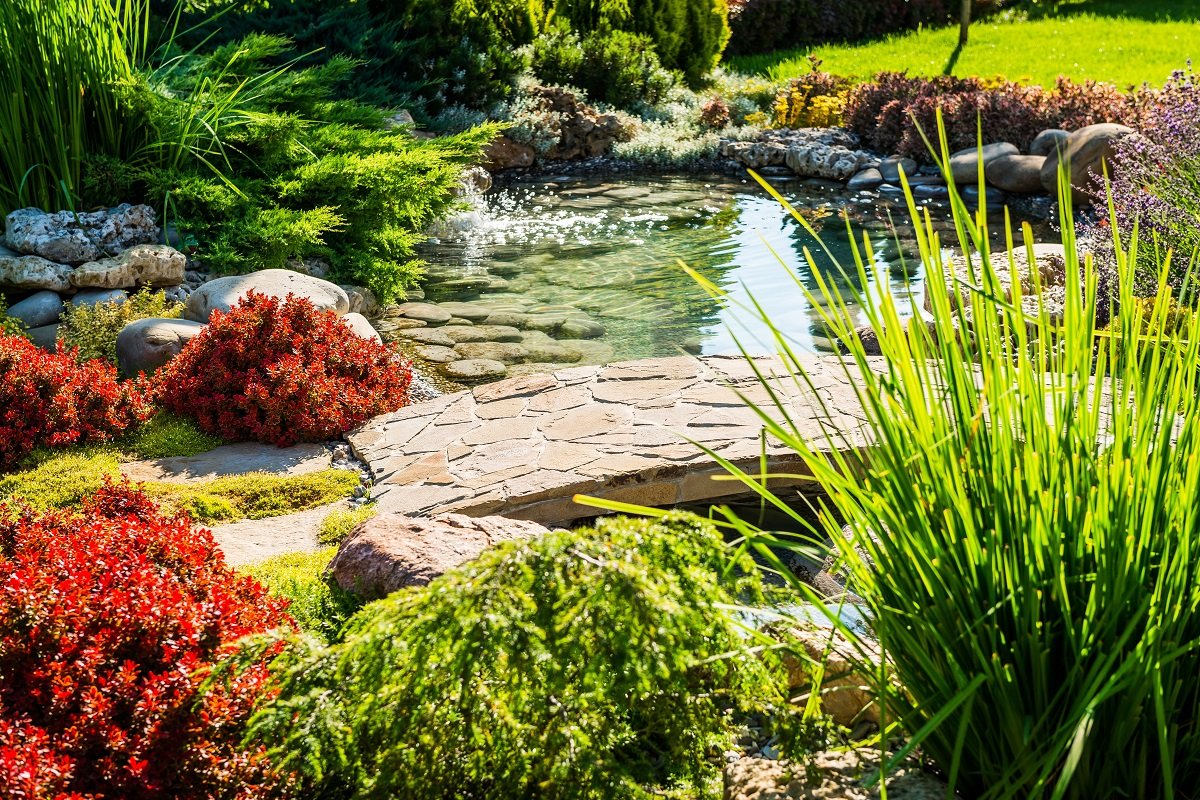 outdoor garden
