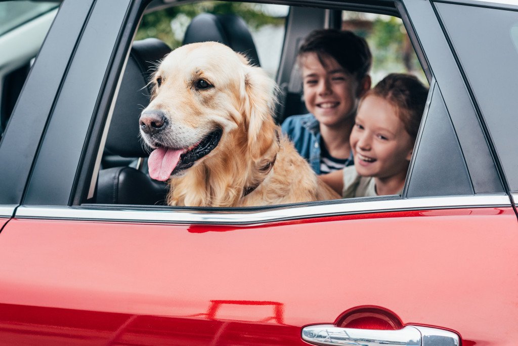 childen in car with dog