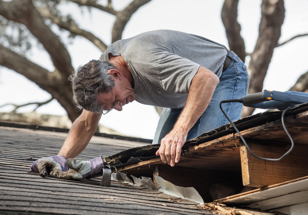 Close up view of man using removing rotten wood from leaky roof. After removing fascia boards he has discovered that the leak has extended into the beams and decking.