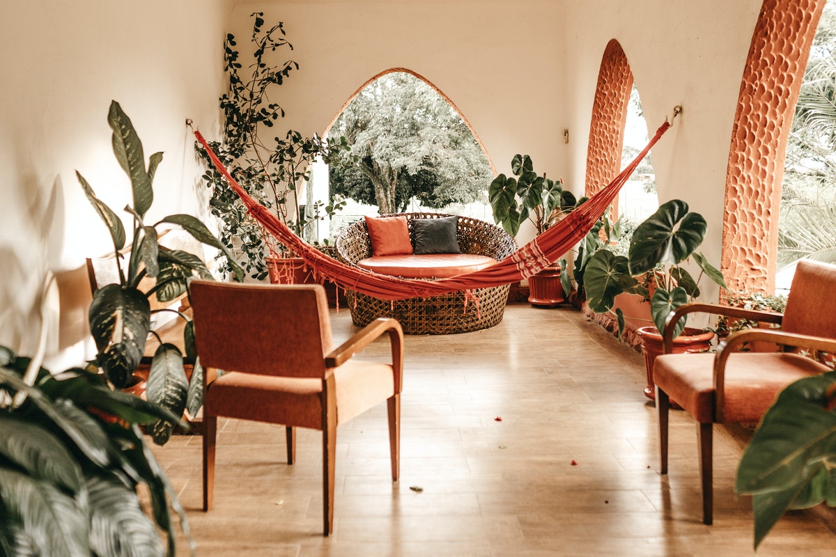indoor plants situated on a patio